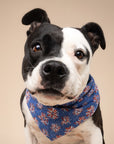 3 Pack - Patriotic Summer Dog Bandanas