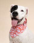 Flores Dog Bandana