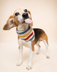 Frontier Dog Bandana