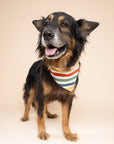 Frontier Dog Bandana