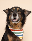 Frontier Dog Bandana