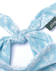 Frozen Dog Bandana