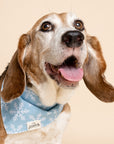 Frozen Dog Bandana