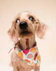 Fruity Cooling Bandana
