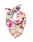 Colorful fruit-patterned bandana on a white background