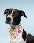 Fruity Cooling Bandana