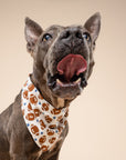 Game Day Dog Bandana