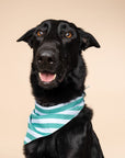 Gili Dog Bandana