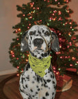 Grinch Dog Bandana