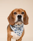 Hanukkah Dog Bandana