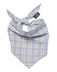 Plaid dog bandana with tied on a white background