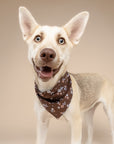 Hazel Dog Bandana