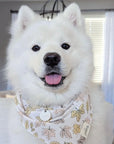 Hills Bandana from The Paws