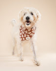 Hudson Dog Bandana