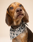 Hygge Winter Dog Bandana