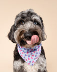 Ice Block Cooling Bandana