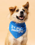 Barkday Blue Dog Bandana from The Paws