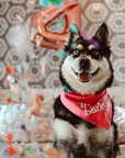 Barkday Pink Bandana