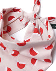 Jolly Dog Bandana