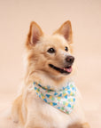 Limeade Cooling Bandana