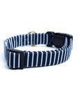 Little Everyday Stripe Dog Collar