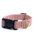 Little Palm Beach Stripe Dog Collar