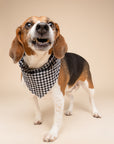 Little Houndstooth Dog Bandana