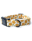 Little Marigold Dog Collar