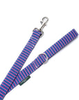 Little Pacific Stripe Leash