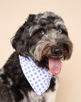 Little Story Dog Bandana