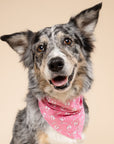 Love Lock Dog Bandana
