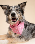 Love Lock Dog Bandana