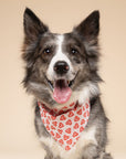 Lover Dog Bandana
