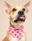 Lovesong Dog Bandana