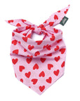 Lovesong Dog Bandana