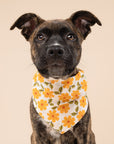 Marigold Dog Bandana