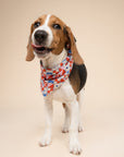 Maritime Dog Bandana