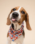 Maritime Dog Bandana