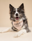 Getting Married Pink Dog Bandana
