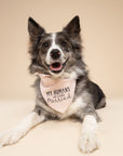 Getting Married Pink Dog Bandana
