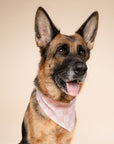 Marshmallow Check Dog Bandana from The Paws