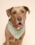 Merry Dog Bandana