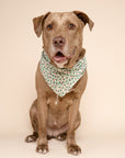 Merry Dog Bandana