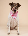 Little Lovesong Dog Bandana