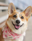 Miss Muffy - Dog Bandana from The Paws