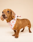 Mittens Winter Dog Bandana