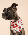 Orchard Dog Bandana