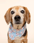 Home Run Dog Bandana