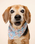 Home Run Dog Bandana