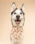 Pie Dog Bandana